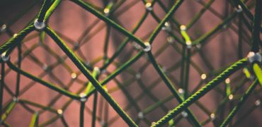 Photographie de filets verts