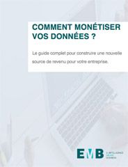 Couverture du livre blanc comment monétiser vos données ?