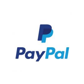 Logotype Paypal